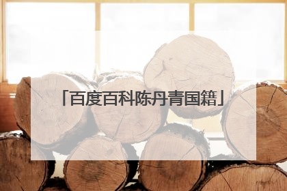 百度百科陈丹青国籍