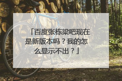 百度张栋梁吧现在是新版本吗？我的怎么显示不出？