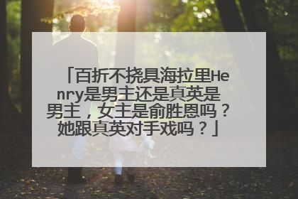 百折不挠具海拉里Henry是男主还是真英是男主,女主是俞胜恩吗?她跟真英对手戏吗?