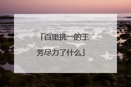 百里挑一的王芳尽力了什么