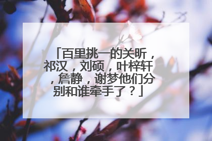 百里挑一的关昕，祁汉，刘硕，叶梓轩，詹静，谢梦他们分别和谁牵手了？