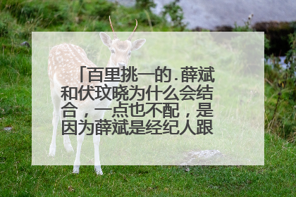 百里挑一的.薛斌和伏玟晓为什么会结合，一点也不配，是因为薛斌是经纪人跟伏对路子吗？而且节目中觉得薛斌