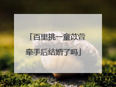 百里挑一童苡萱牵手后结婚了吗