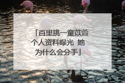 百里挑一童苡萱个人资料曝光 她为什么会分手