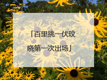 百里挑一伏玟晓第一次出场