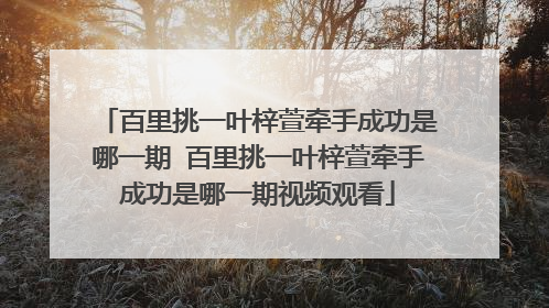 百里挑一叶梓萱牵手成功是哪一期 百里挑一叶梓萱牵手成功是哪一期视频观看