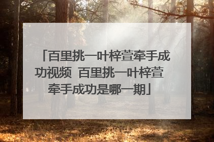百里挑一叶梓萱牵手成功视频 百里挑一叶梓萱牵手成功是哪一期