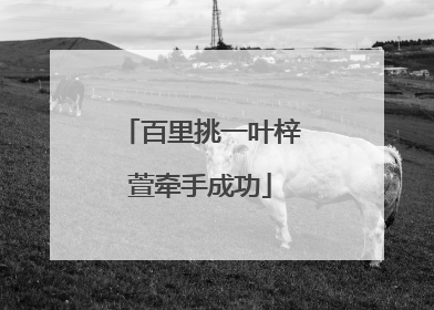 百里挑一叶梓萱牵手成功