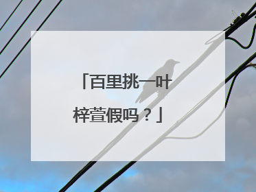 百里挑一叶梓萱假吗？