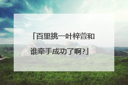 百里挑一叶梓萱和谁牵手成功了啊?