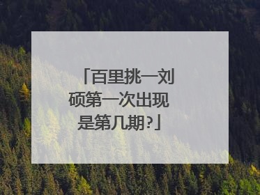 百里挑一刘硕第一次出现是第几期?
