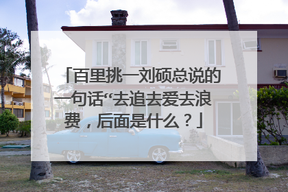 百里挑一刘硕总说的一句话“去追去爱去浪费，后面是什么？