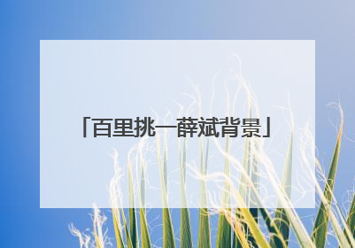 百里挑一薛斌背景