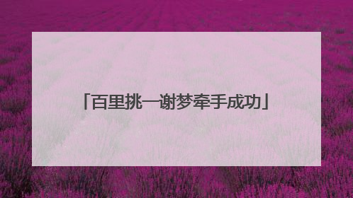 百里挑一谢梦牵手成功