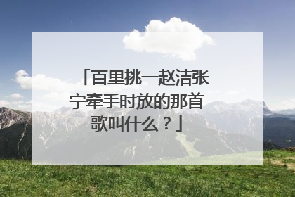百里挑一赵洁张宁牵手时放的那首歌叫什么？