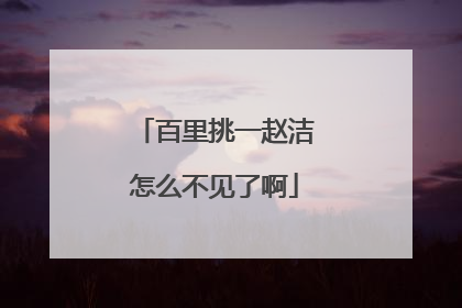 百里挑一赵洁怎么不见了啊