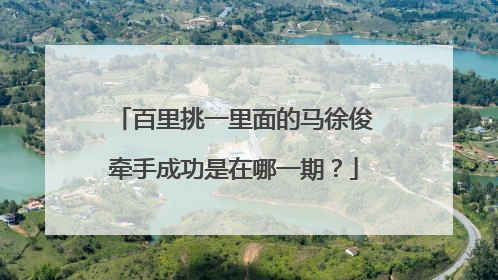 百里挑一里面的马徐俊牵手成功是在哪一期?