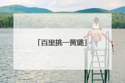 百里挑一黄璐