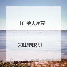 白狼大豌豆尖肚兜哪集