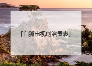 白狐电视剧演员表