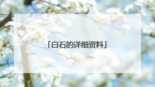 白石的详细资料