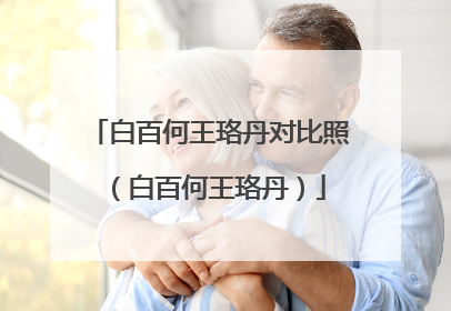 白百何王珞丹对比照(白百何王珞丹)