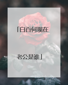 白百何现在老公是谁