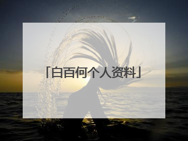 白百何个人资料