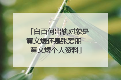 白百何出轨对象是黄文煜还是张爱朋 黄文煜个人资料