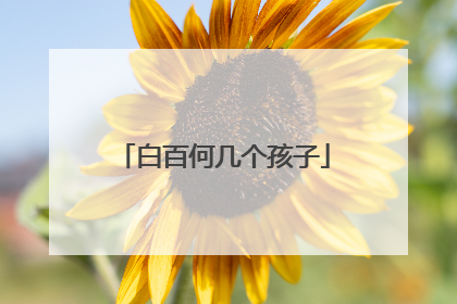 白百何几个孩子