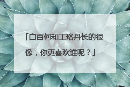 白百何和王珞丹长的很像,你更喜欢谁呢?