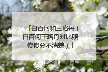 白百何和王珞丹(白百何王珞丹对比照傻傻分不清楚)