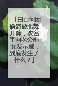 白百何因偷盗被北舞开除，改名字向老公前女友示威，到底发生了什么？