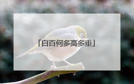 白百何多高多重