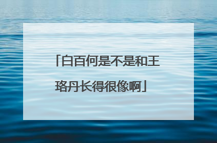 白百何是不是和王珞丹长得很像啊