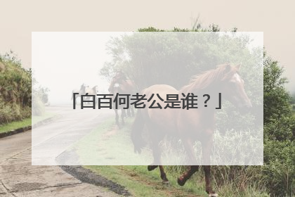白百何老公是谁？