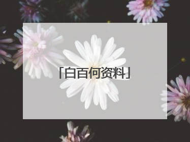 白百何资料