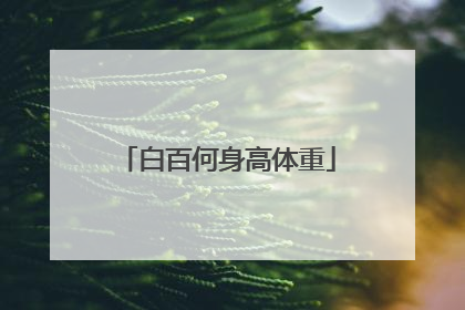 白百何身高体重