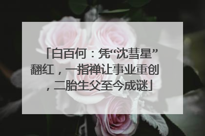 白百何：凭“沈彗星”翻红，一指禅让事业重创，二胎生父至今成谜