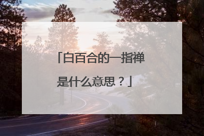 白百合的一指禅是什么意思?