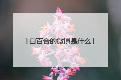 白百合的微博是什么