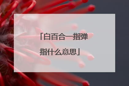 白百合一指弹指什么意思
