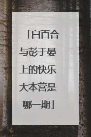 白百合与彭于晏上的快乐大本营是哪一期