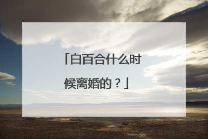 白百合什么时候离婚的?