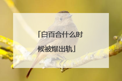 白百合什么时候被爆出轨