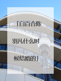 白百合陈羽凡什么时候结婚的
