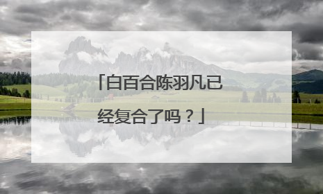 白百合陈羽凡已经复合了吗?