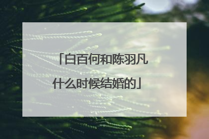 白百何和陈羽凡什么时候结婚的