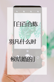 白百合陈羽凡什么时候结婚的