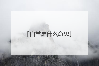 白羊是什么意思